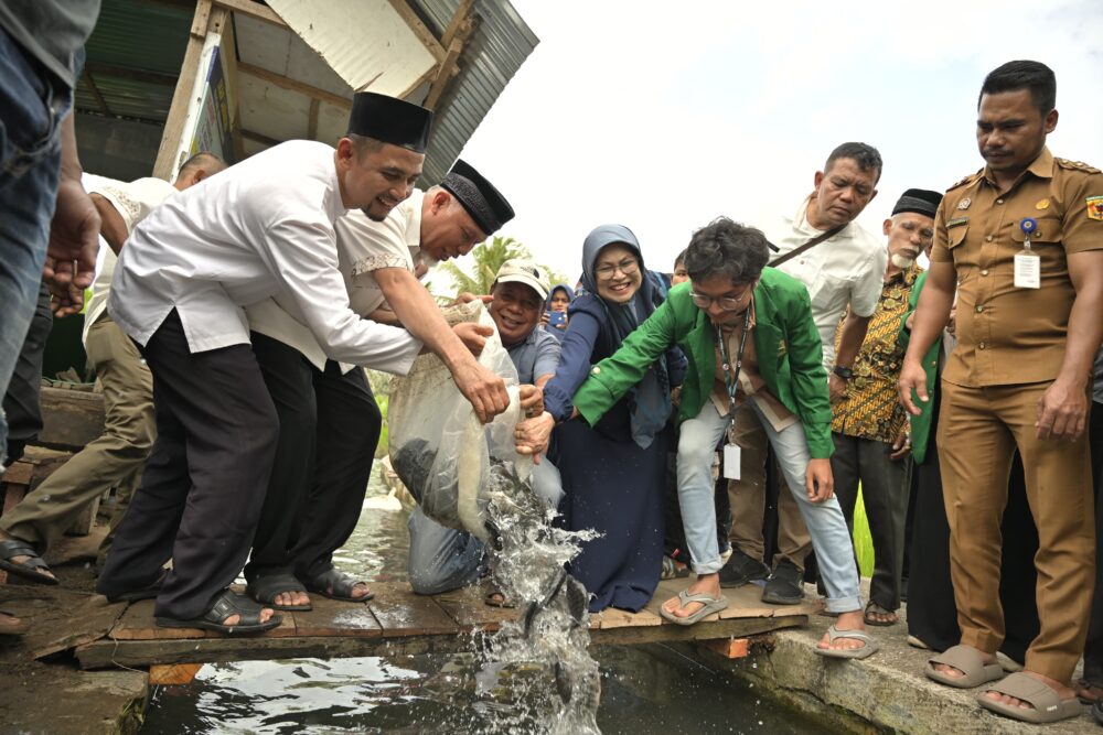 Gubernur Mahyeldi Serahkan Bantuan Lima Ribu Bibit Ikan di Tanah Datar