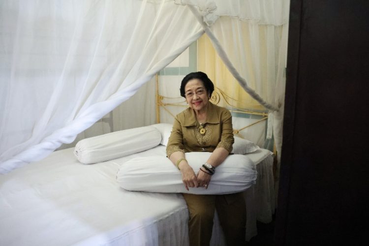 Megawati Dukung Organisasi Kesejarahan Bung Karno