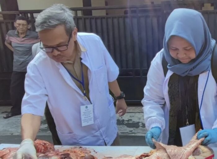 Ratusan Petugas Diterjunkan, Periksa Kelayakan Daging Kurban di Jaktim