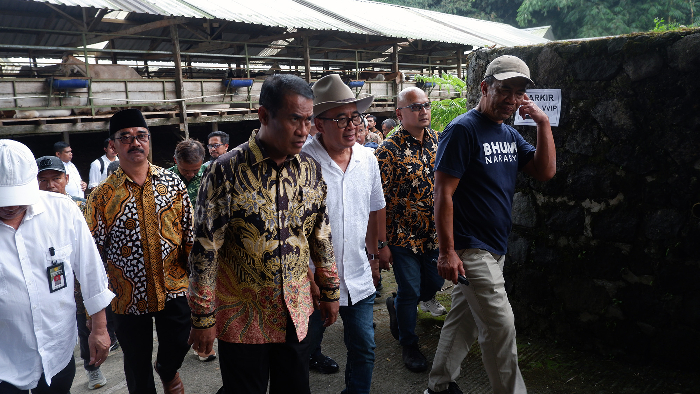 Menteri Pertanian Ingin Peternak Indonesia Penuhi Kebutuhan Susu dan Daging yang Nilai Impornya Capai Rp 37 Triliun
