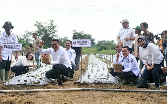 Pj Gubernur Agus Fatoni Komitmen Jaga Kedaulatan Pangan Sumut