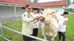 Gubernur Mahyeldi Dongkrak Kesejahteraan Peternak