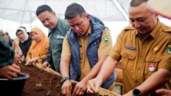 Wabup Jon Firman Pandu Sambangi Tempat Pembibitan Tanaman Kentang Berbasis Smart Farming