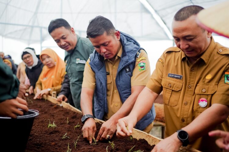 Wabup Jon Firman Pandu Sambangi Tempat Pembibitan Tanaman Kentang Berbasis Smart Farming