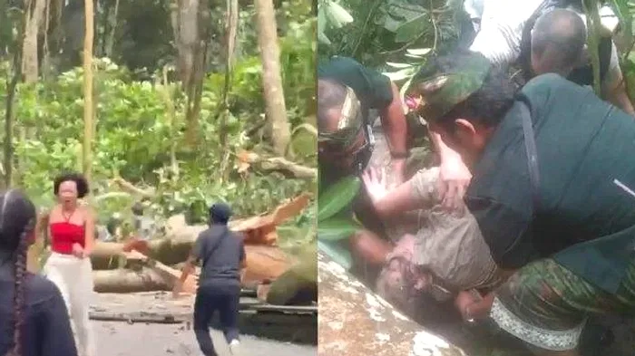 Dua Turis Tewas di Monkey Forest Bali, DPR Desak Pengelola Wisata Prioritaskan Keselamatan